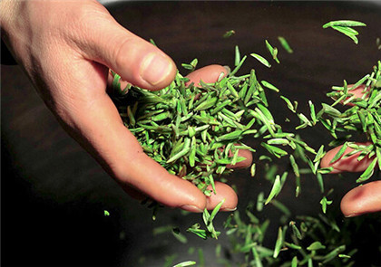 竹叶青茶价格