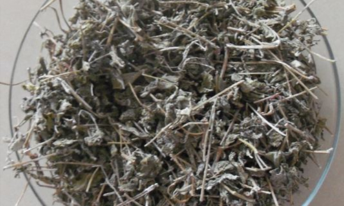 溪洲莓茶加工工艺