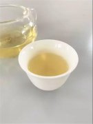 绿茶的冲泡方法