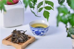 日照绿茶品质决定因素！“山头”区分化可引入