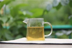 广东乌龙茶有什么特点？如何鉴别？
