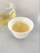 白茶科普之散茶与饼茶