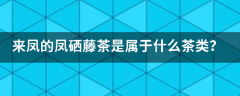 来凤的凤硒藤茶是属于什么茶类？