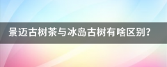 景迈古树茶与冰岛古树有啥区别？